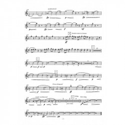 Notenblatt mit verschiedenen musikalischen Notationen, Notensystemen, Noten, dynamischen Markierungen und einigem Text in einer nicht-englischen Sprache. Die Musik enthält Crescendos, Decrescendos und verschiedene Tempobezeichnungen.