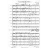 Konzertstück für 2 Hörner (Solo) und Orchester